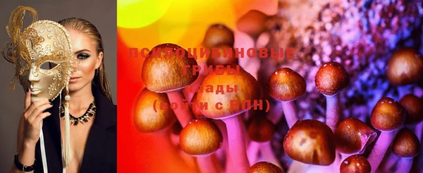 винт Абинск